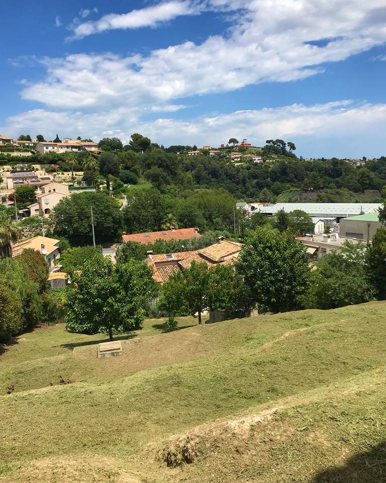 débroussaillage jardinerie